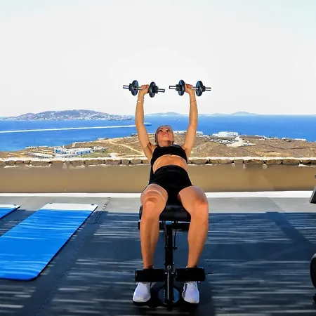 Vogue Mykonos Villa